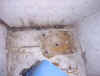 bed5.jpg (132087 bytes)