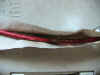 melted cable.jpg (555125 bytes)