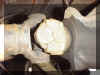 ubolt style yoke.jpg (204342 bytes)