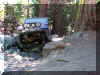 jeephead flexin.jpg (106868 bytes)