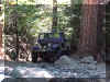 jeephead no hood.jpg (110477 bytes)